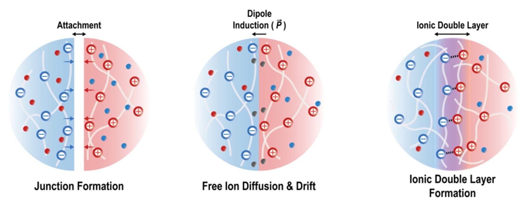 Accounts of Materials Research paper accepted (Yoon-Je Choi, first author)